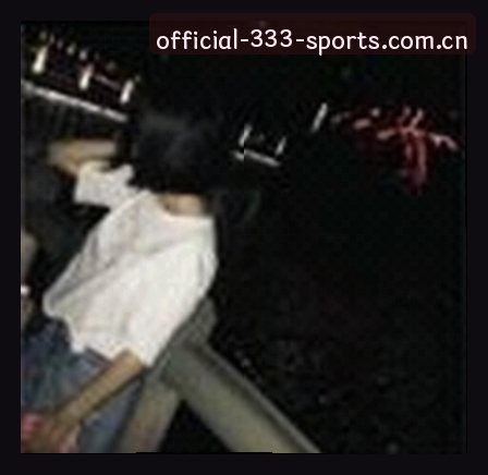 刘总